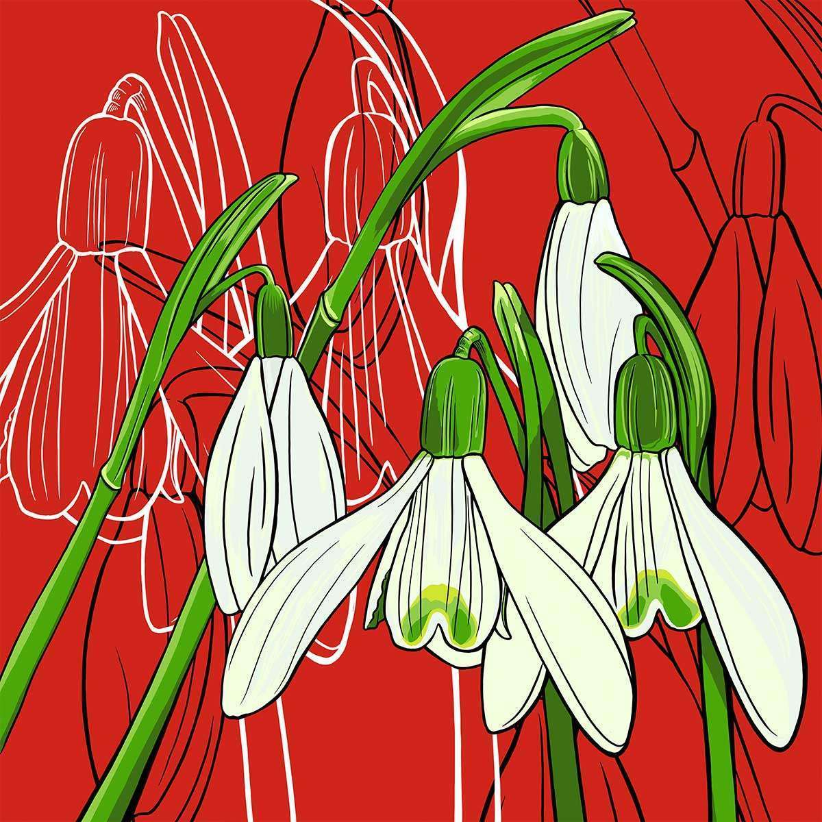 January – Snowdrop January - Snowdrop