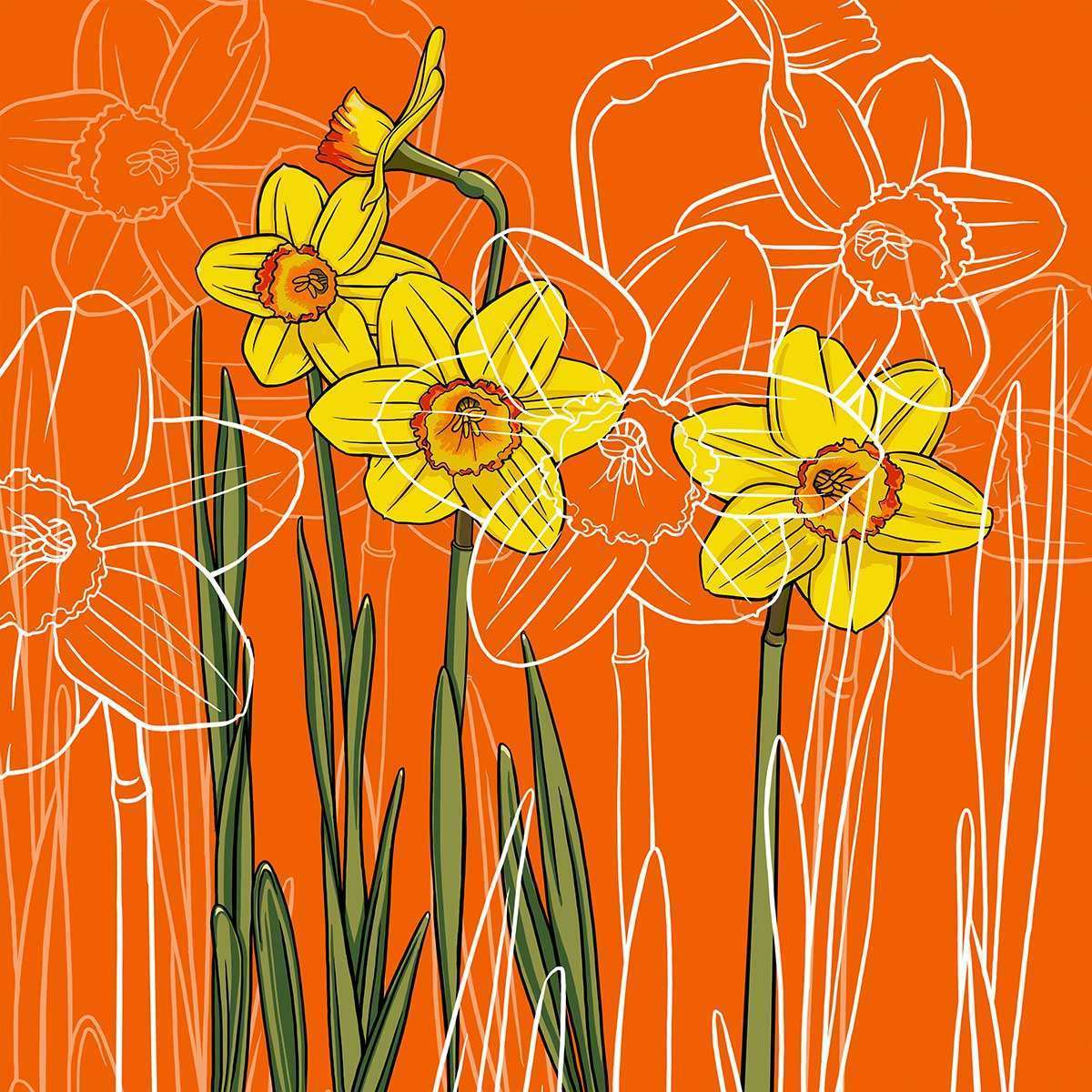 March – Daffodil March - Daffodil