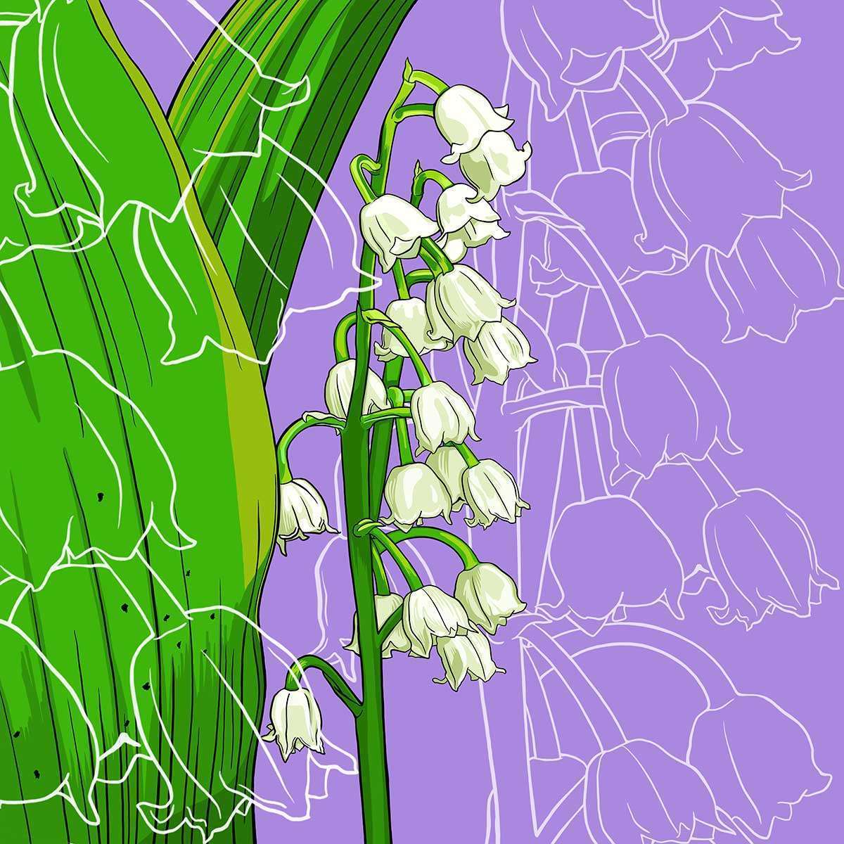 May – Lily of the Valley May - Lily of the Valley