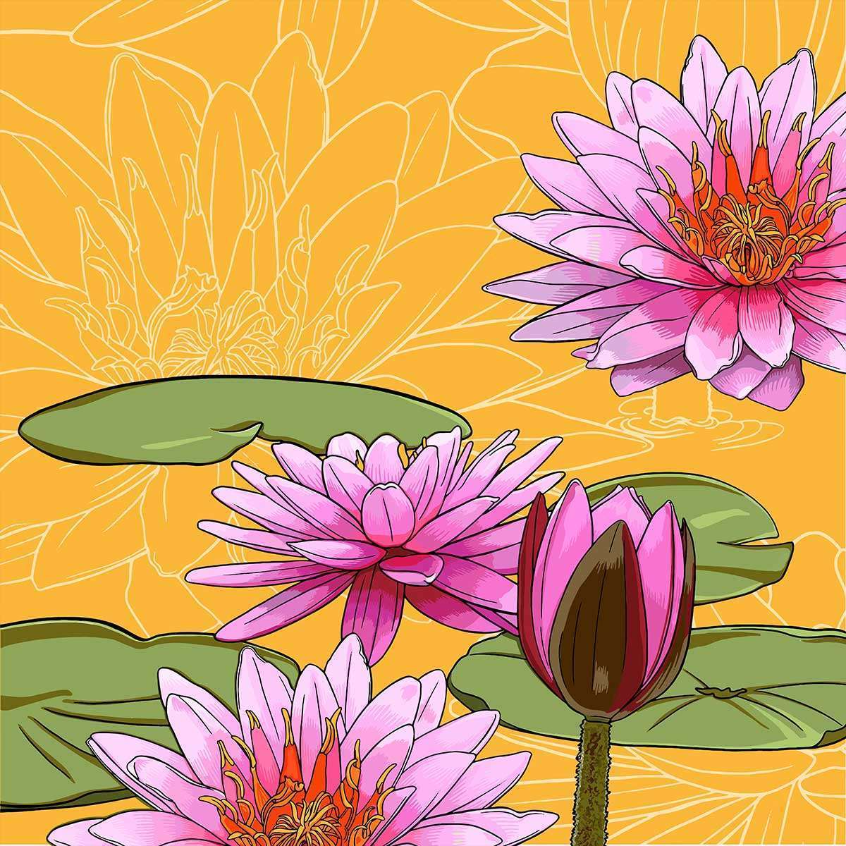 July – Water Lily July - Water Lily