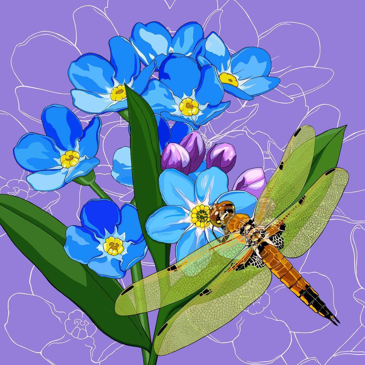 Alaska – Forget Me Not + Four-spot Skimmer Dragonfly Alaska – Forget Me Not + Four-spot Skimmer Dragonfly