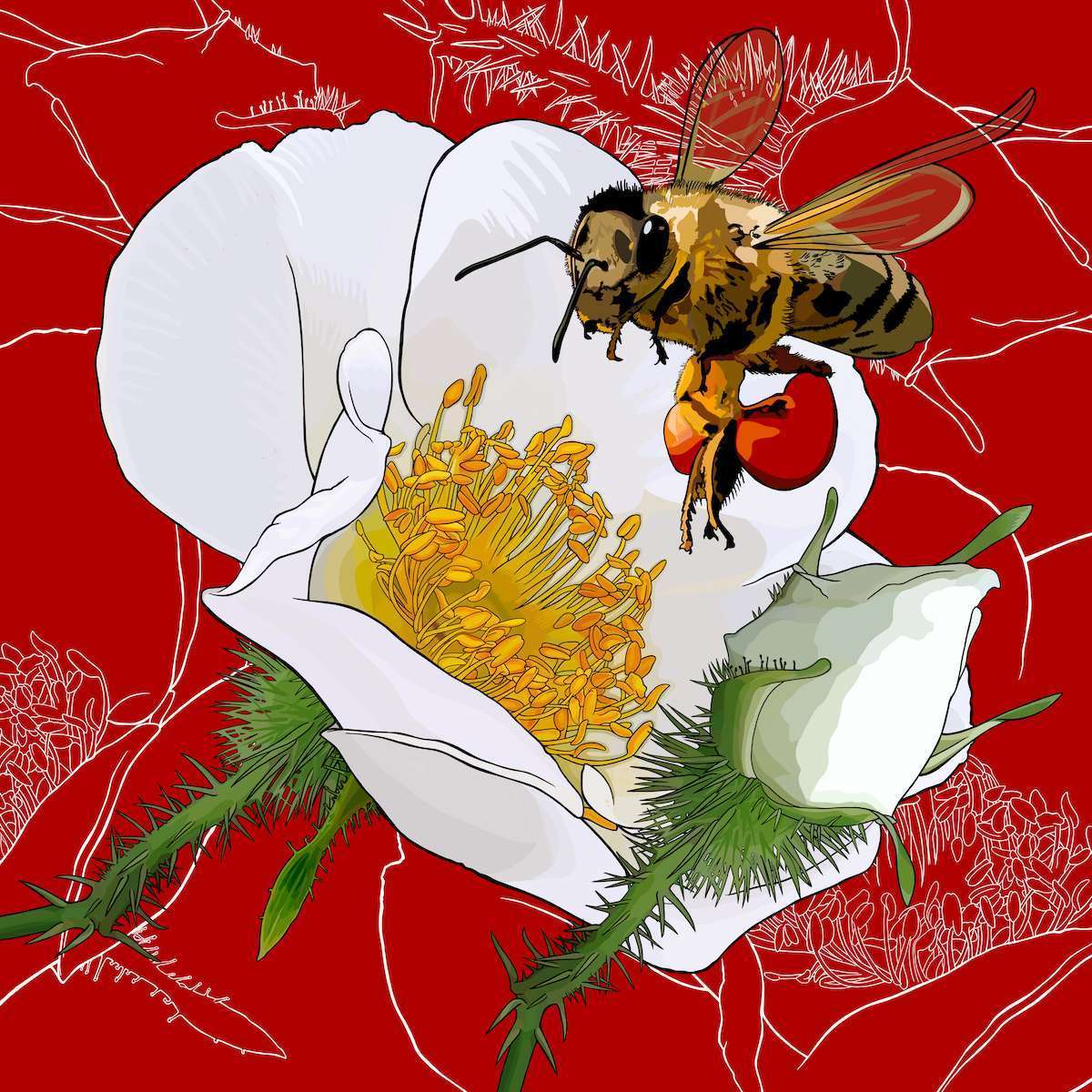 Georgia – Cherokee Rose + Honeybee Georgia – Cherokee Rose + Honeybee