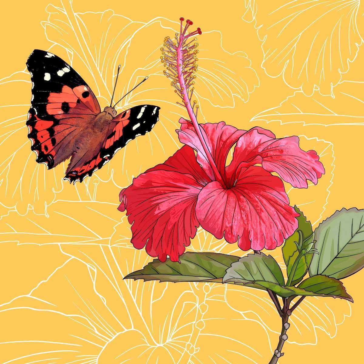 Hawaii – Hibiscus + Kamehameha Butterfly Hawaii – Hibiscus + Kamehameha Butterfly