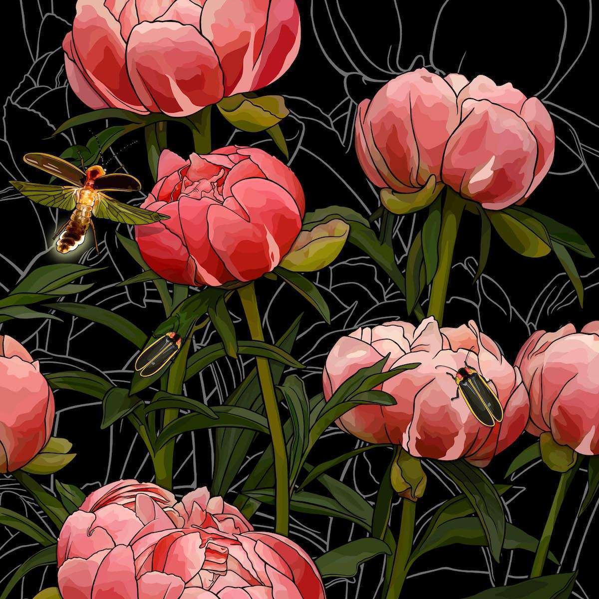 Indiana – Peonies + Fireflies Indiana – Peonies + Fireflies