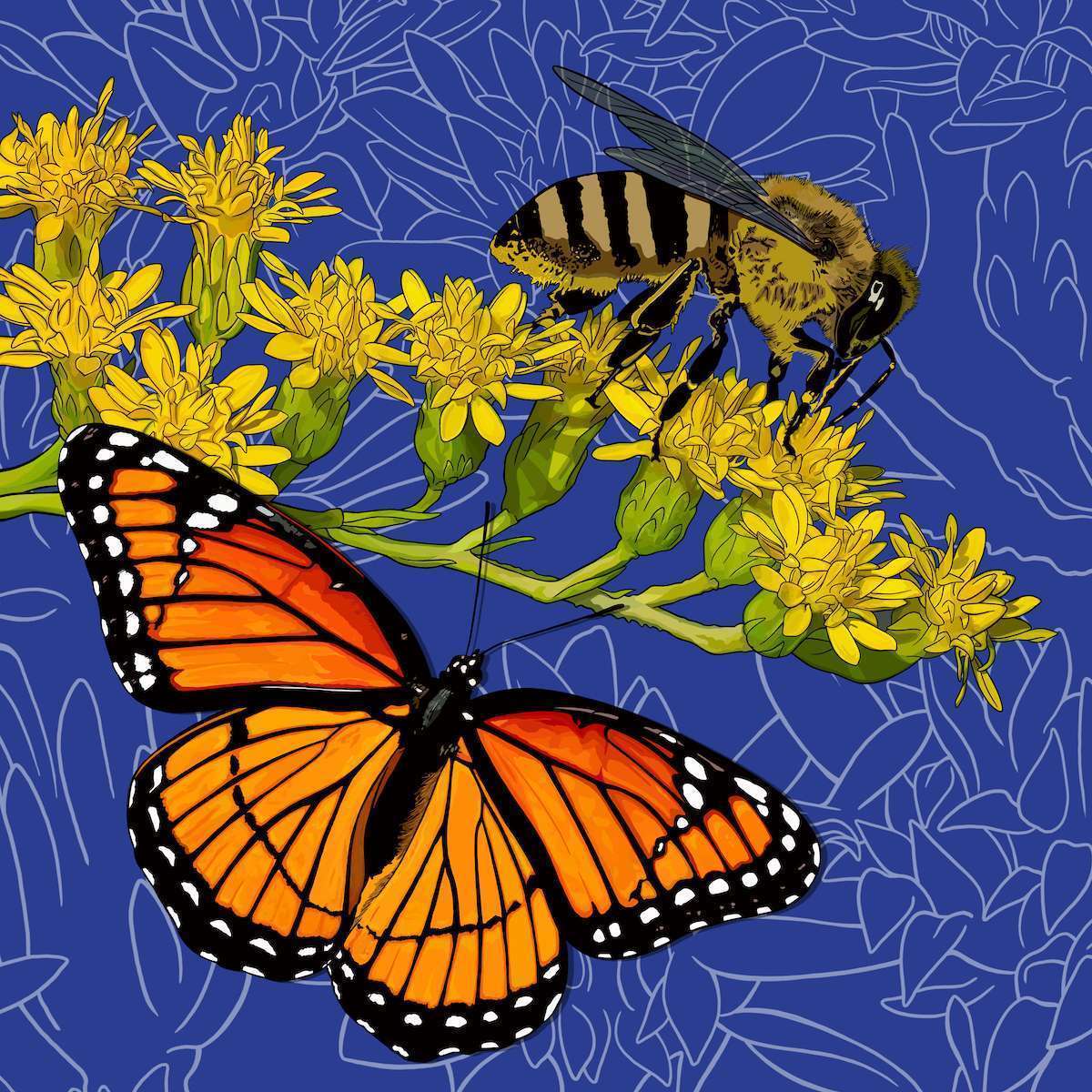 Kentucky – Goldenrod + Honeybee + Viceroy Butterfly