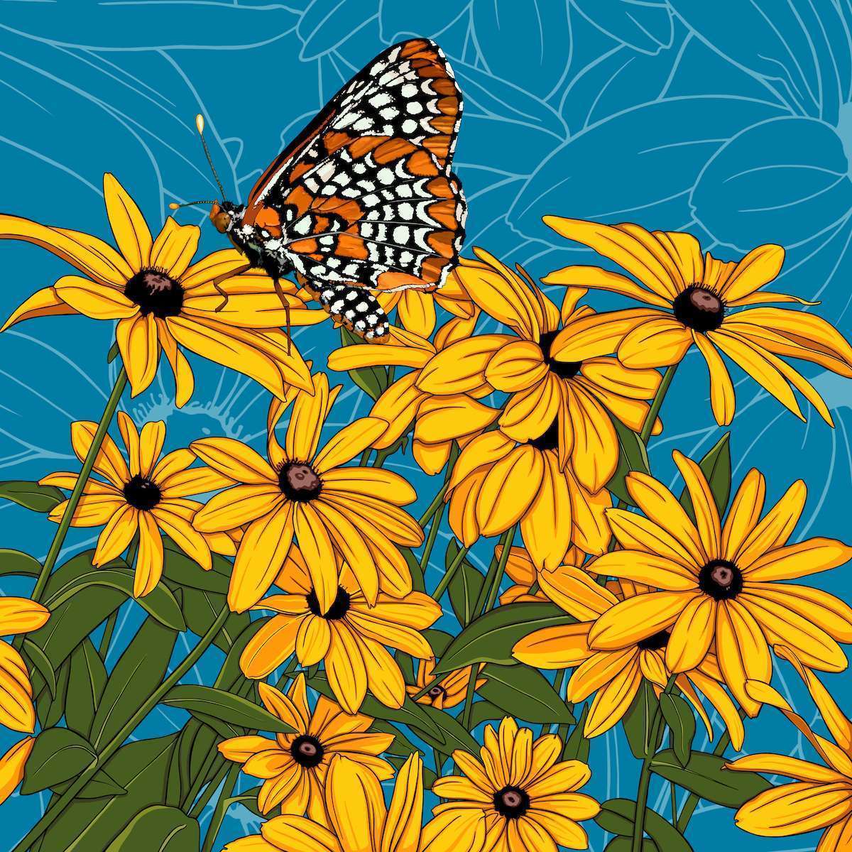 Maryland – Black-eyed Susan + Baltimore Checkerspot Butterfly