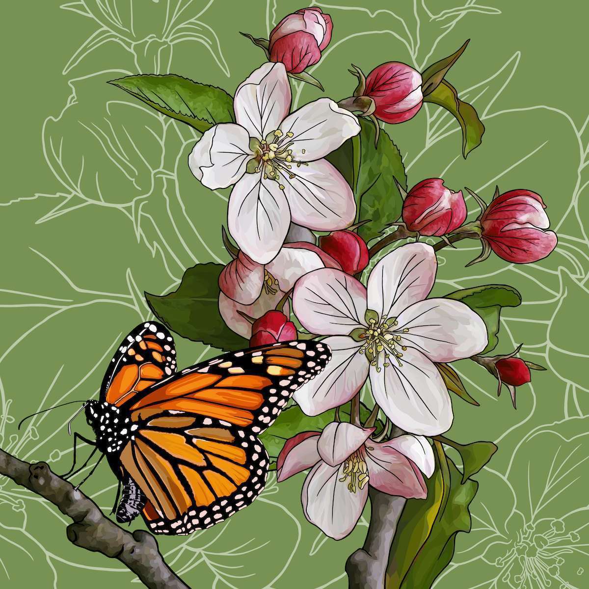 Michigan – Apple Blossom + Monarch