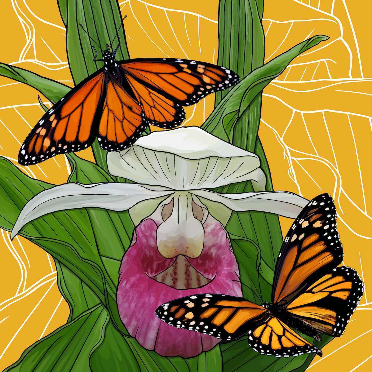 Minnesota – Lady Slipper + Monarch
