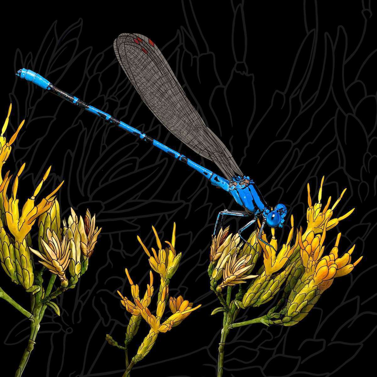 Nevada – Sagebrush + Vivid Dancer Damsefly