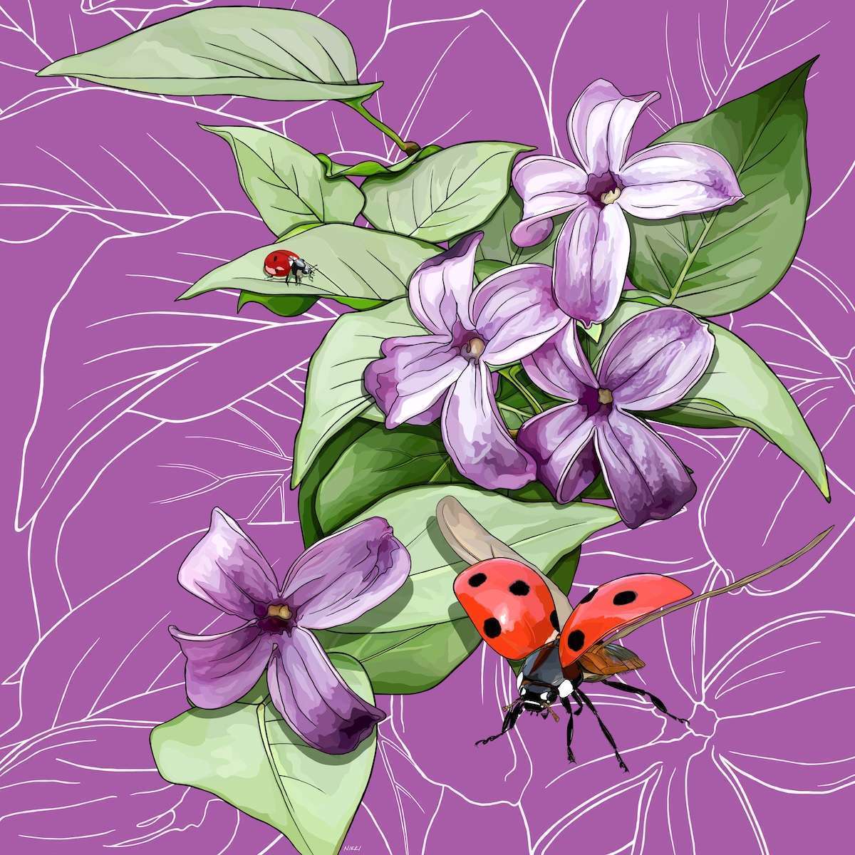 New Hampshire – Lilac + Ladybugs