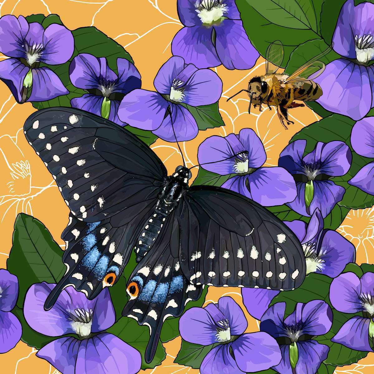 New Jersey – Violets + Honeybee +Black Swallowtail Butterfly