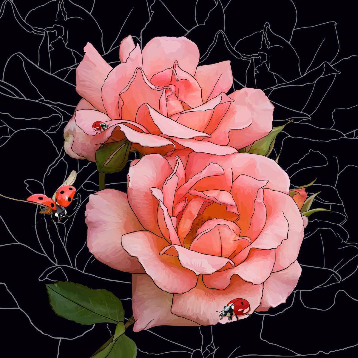 New York – Rose + Ladybugs