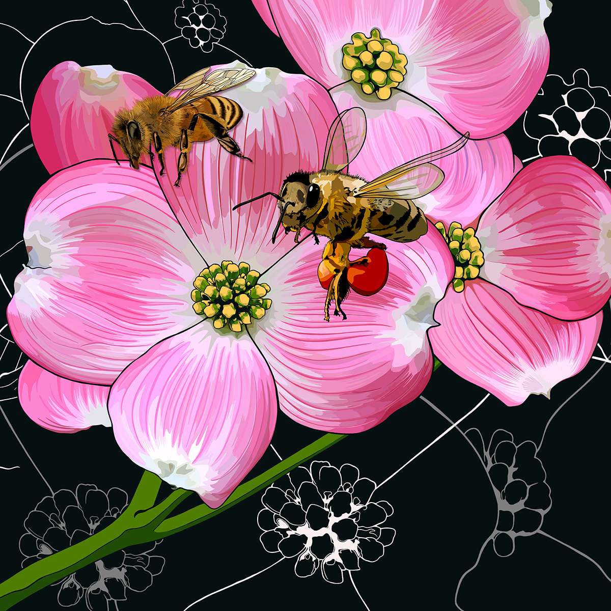 North Carolina – Dogwoods + Honeybee