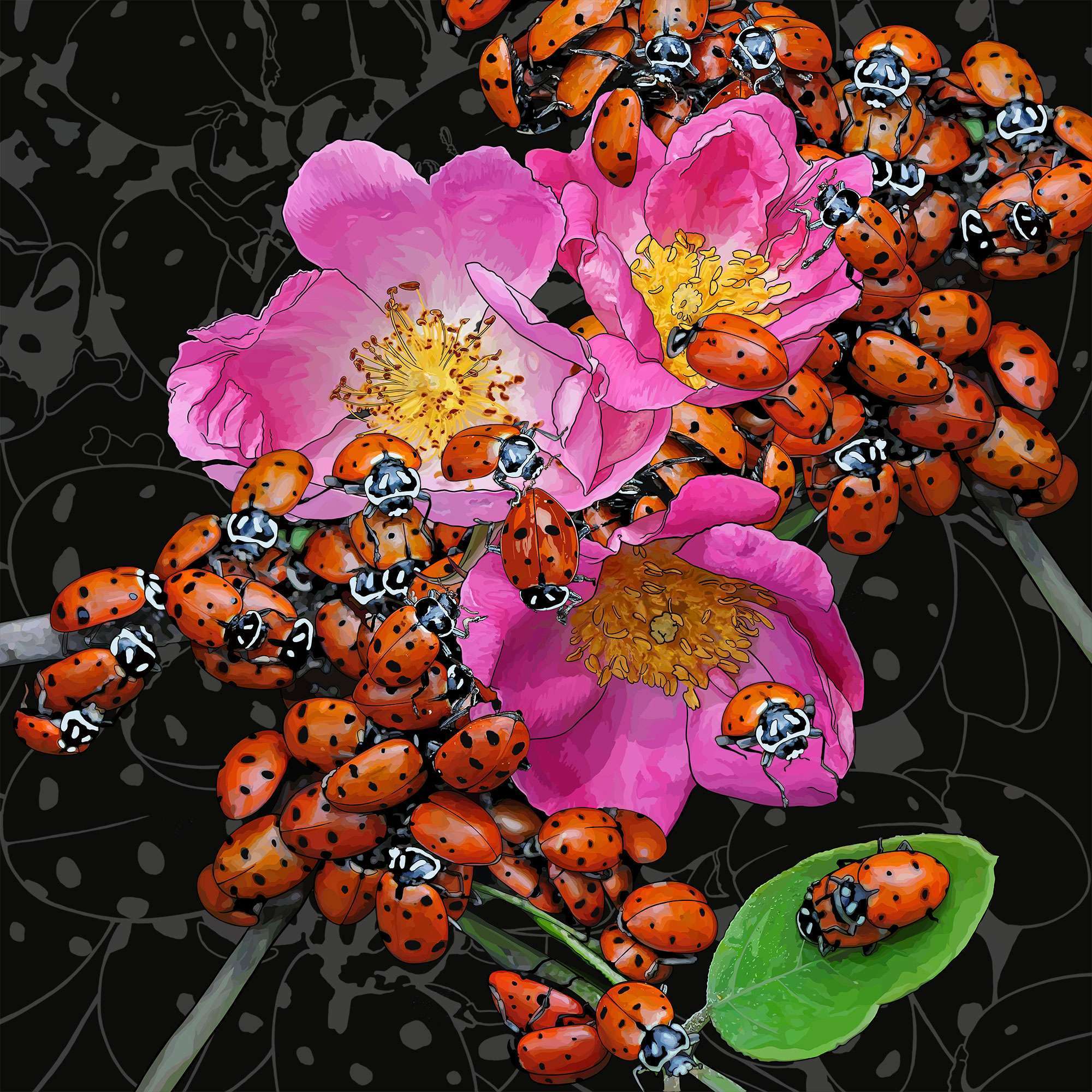 North Dakota – Wild Prairie Rose + Ladybugs