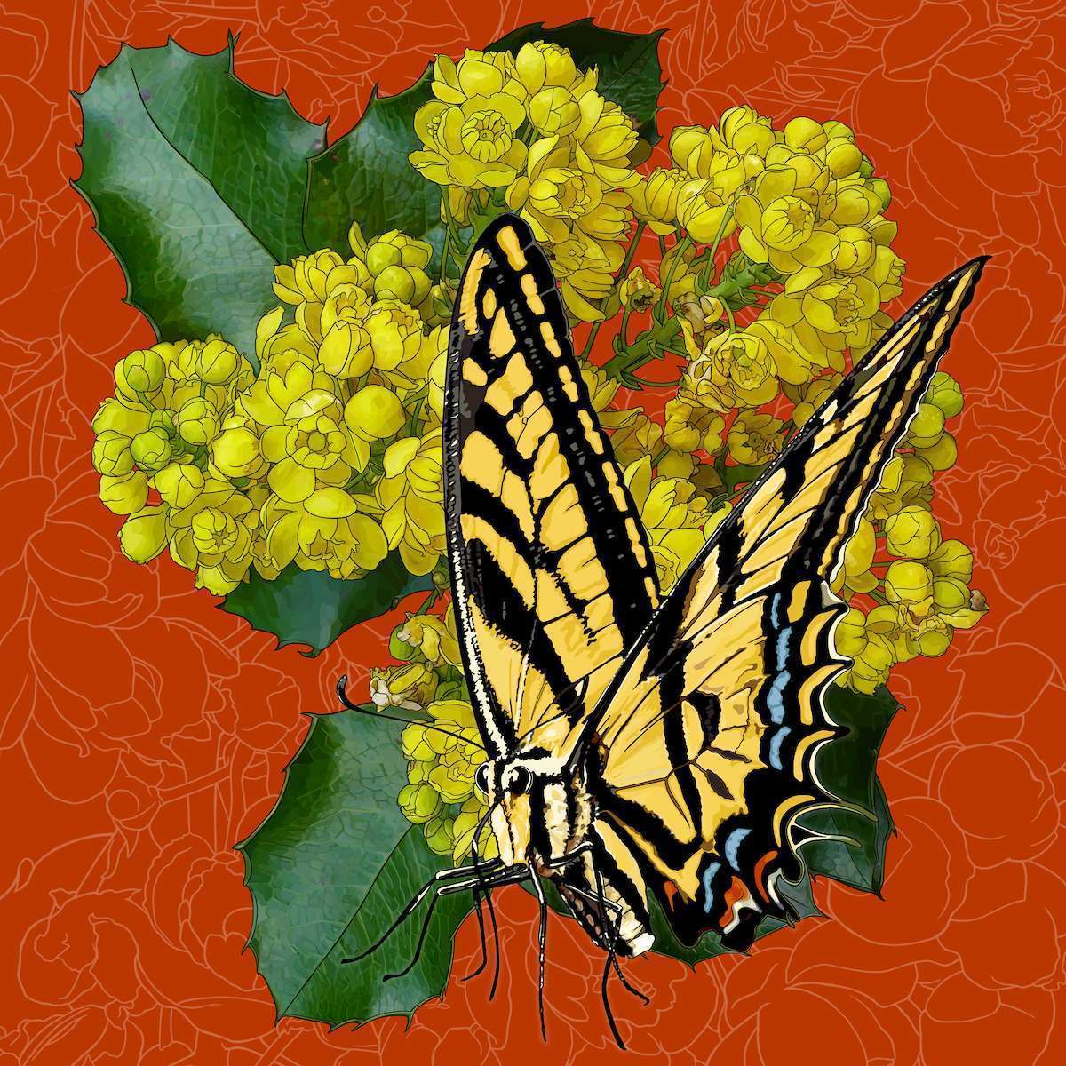 Oregon – Oregon Grape Blossoms + Oregon Swallowtail Butterfly