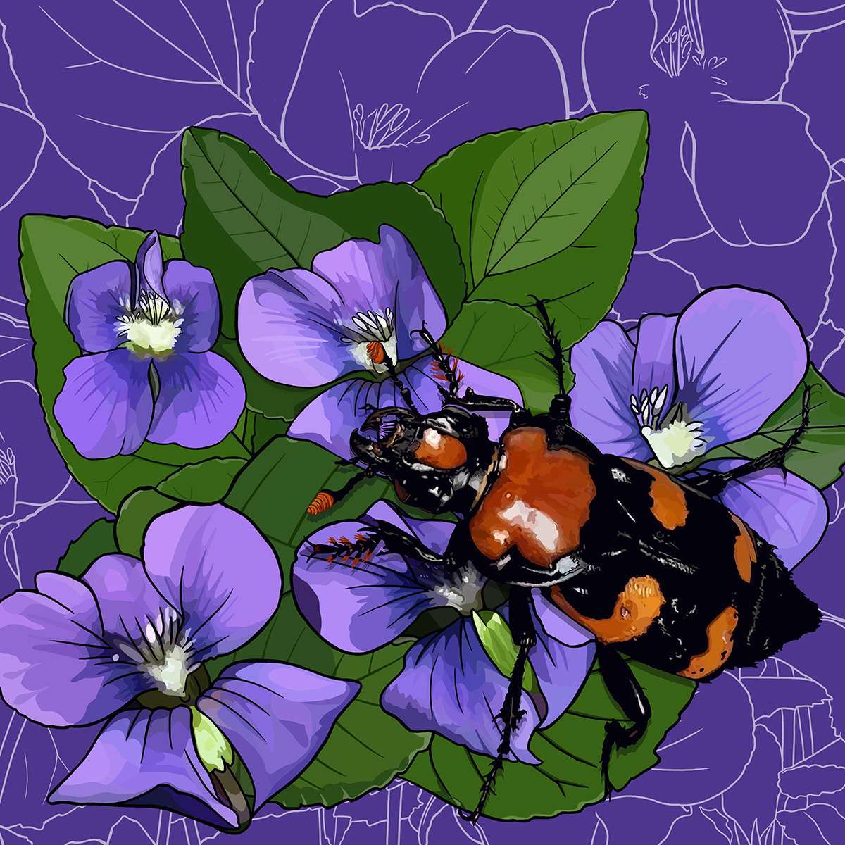 Rhode Island – Violets + American Burying Beetle