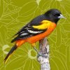 State Birds