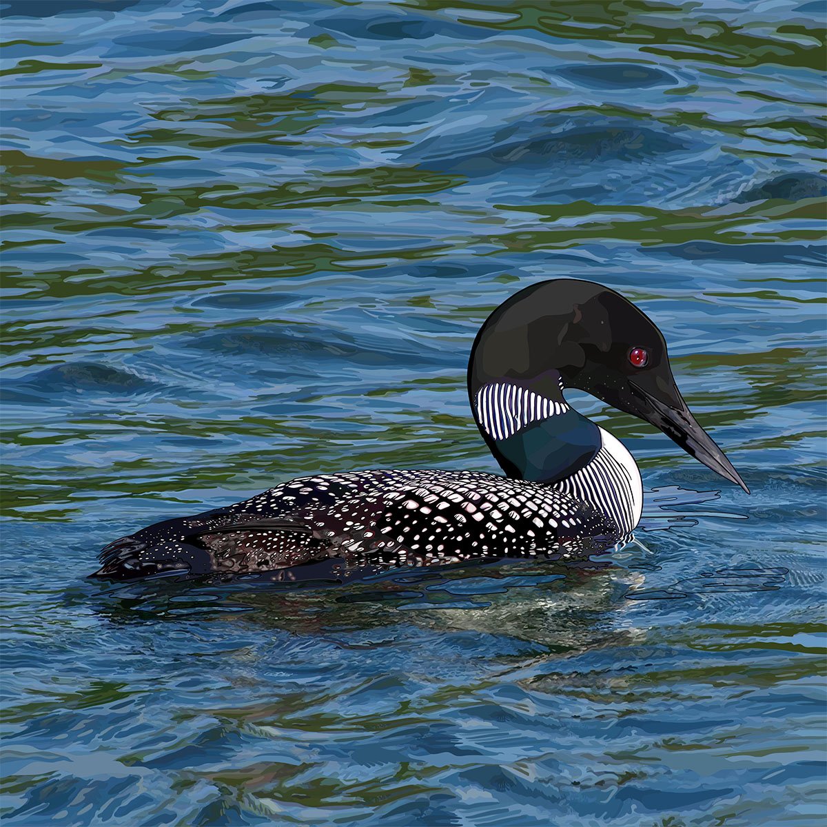Minnesota – Loon Minnesota - Loon