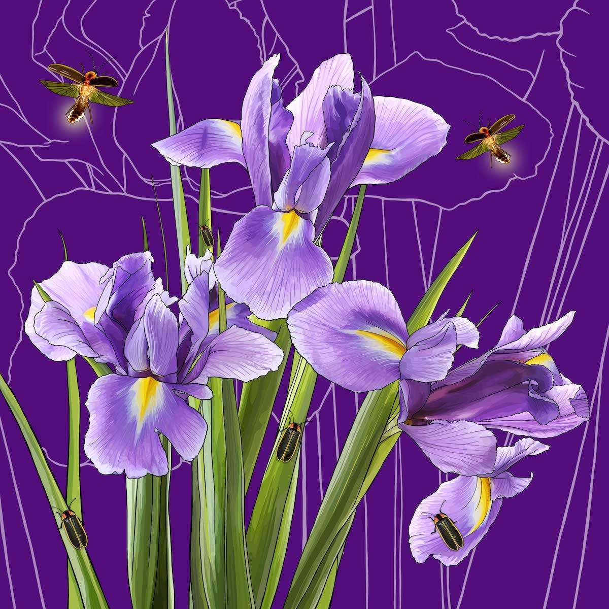Tennessee – Iris + Fireflies