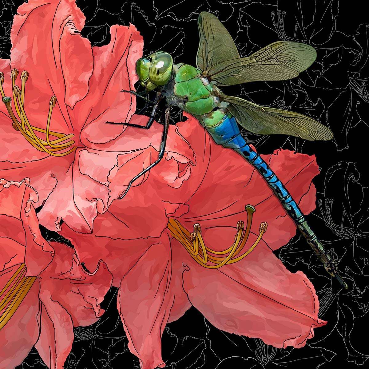 Washington – Rhodedendron + Green Darner Dragonfly Washington –Rhodedendron + Green Darner Dragonfly