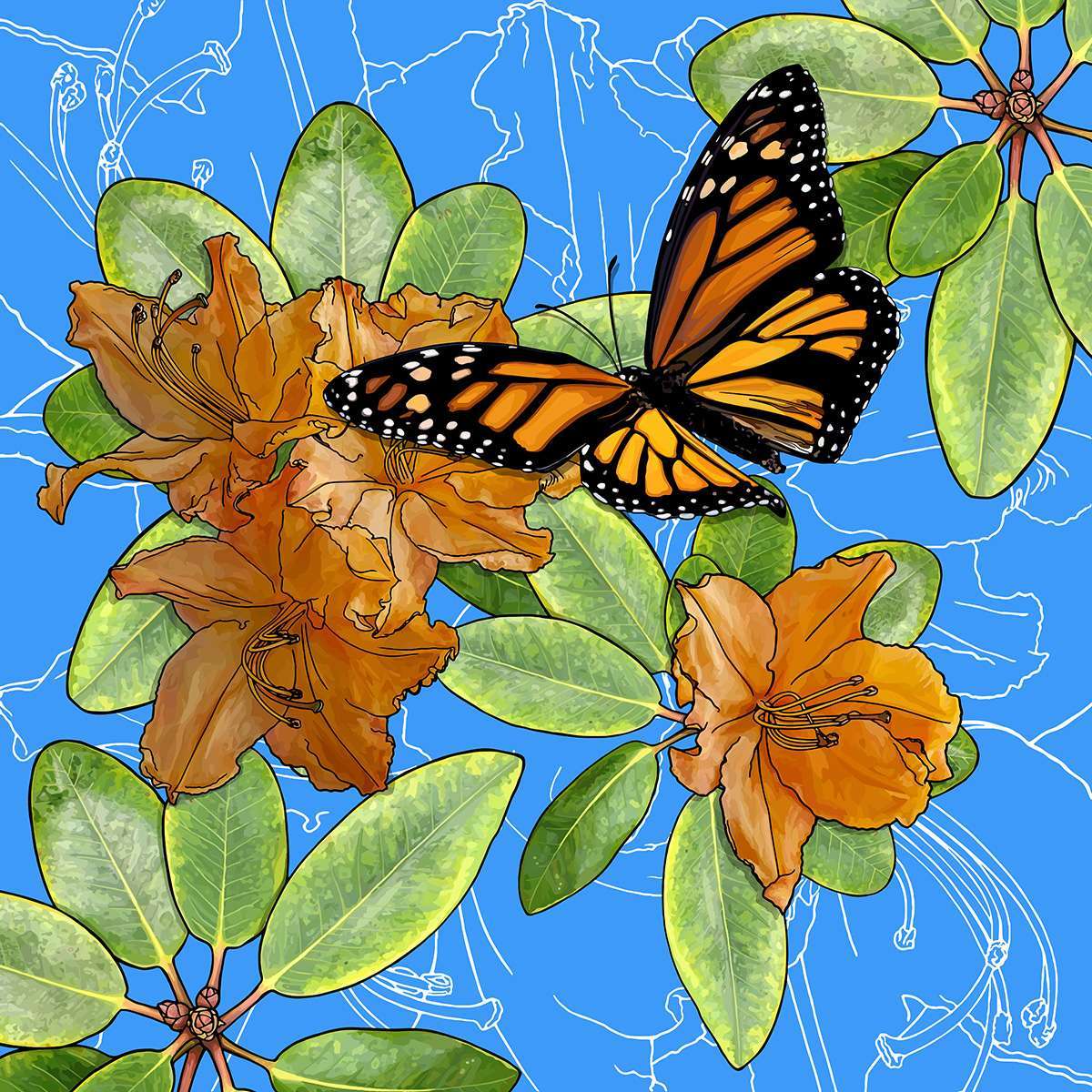 West Virginia – Rhododendron + Monarch Butterfly