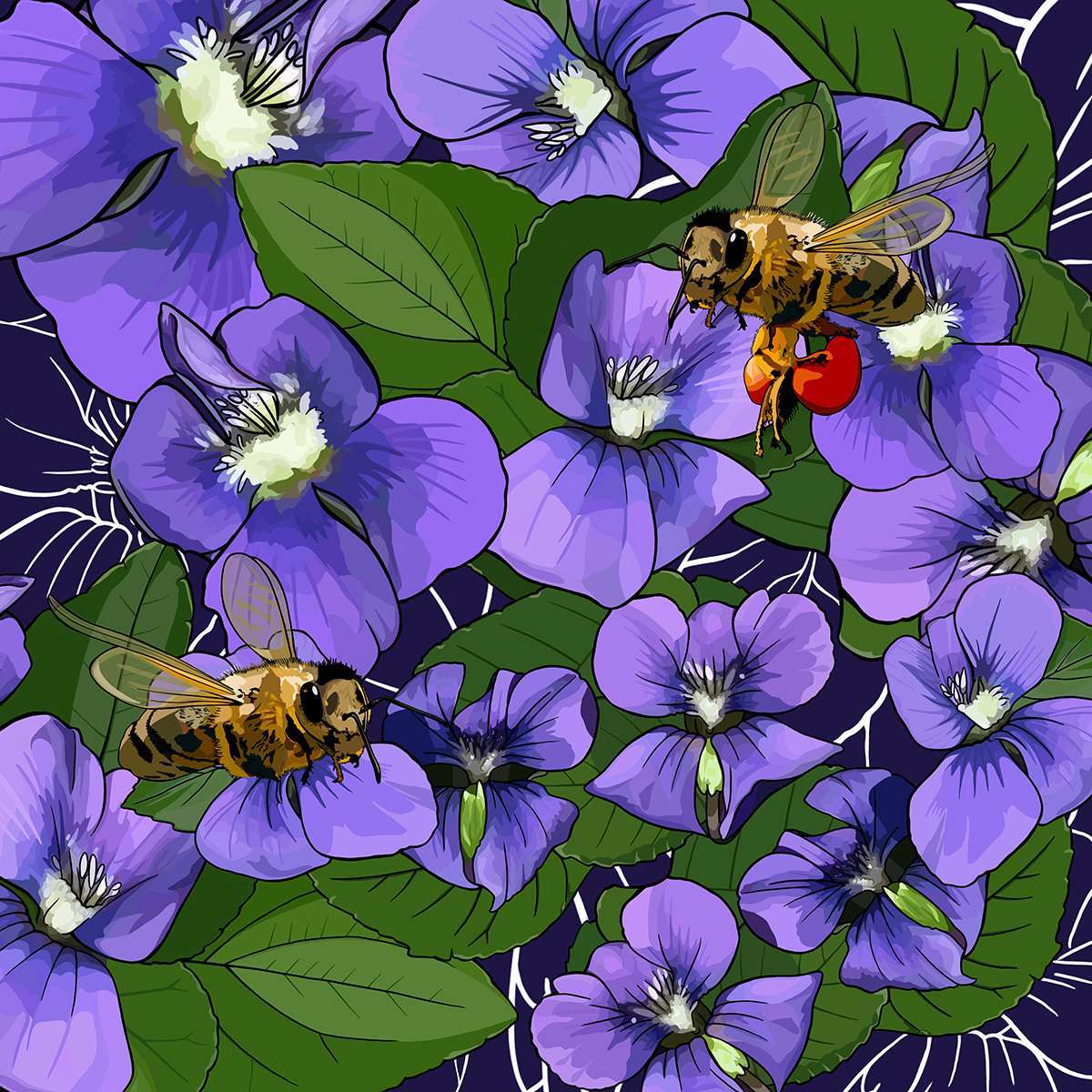 Wisconsin – Violets + Honeybee