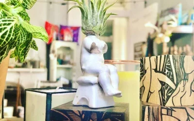 Airplants in/on vintage porcelain figures. Hand drawn wood blocks.