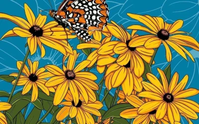 Black Eyed Susan and Baltimore Checkerspot Butterfly