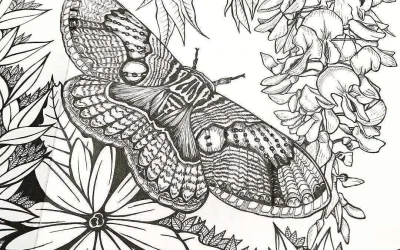 Flashback to something I drew a couple of years ago.