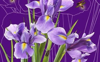 iris and firefly!