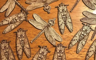 My desk is swarming with laser cut and engraved insects…