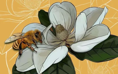 Yep, it’s another magnolia and honeybee!