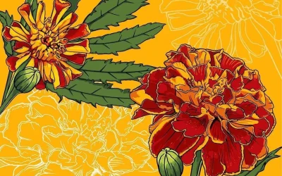 It’s that time again, pretty flower wallpapers for your computer, phone and tablet!