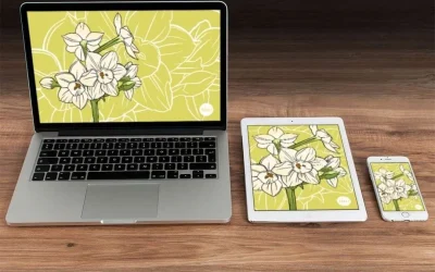Time for some more pretty flowers!