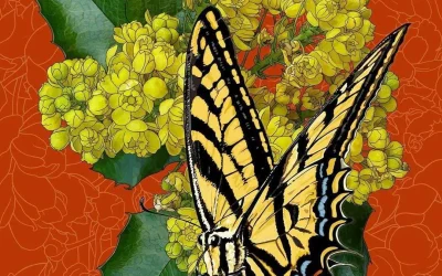 I added an Oregon swallowtail butterfly to these Oregon grape flowers.