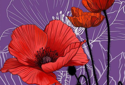 Birth Month Flowers