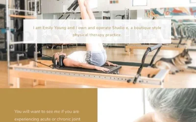 My latest website launch: Studio e