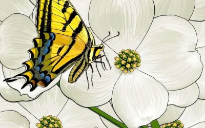 Virginia’s state flower is the dogwood and star insect is the tiger swallowtail butterfly.