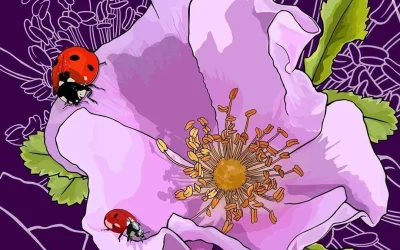 wild prairie rose
